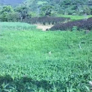 Meet your Posher, Edin